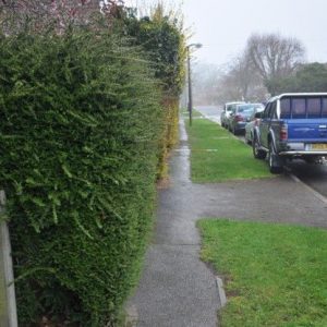 Footpath Lankester Rd to Heath Ave 0.5m wide -see measuring stick