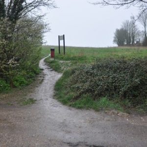 Access onto the heath from the bridleway